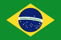 Brazilian Flag